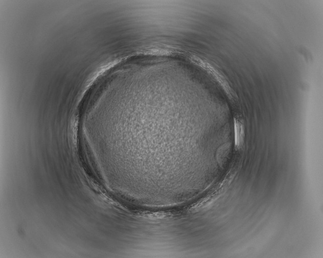 X0000112800675200909041433