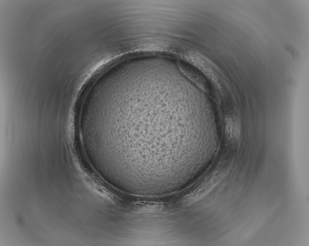 X0000112800676200909041433