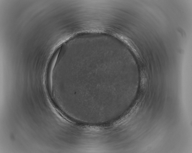 X0000112800677200909041433