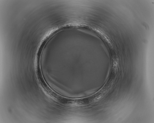 X0000112800678200909041433