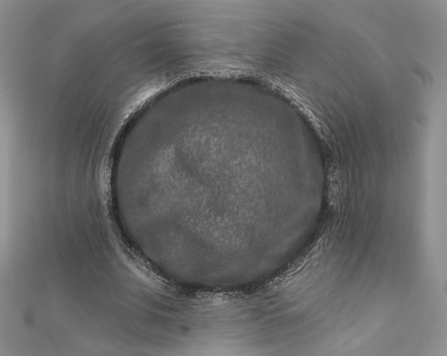X0000112800679200909041433