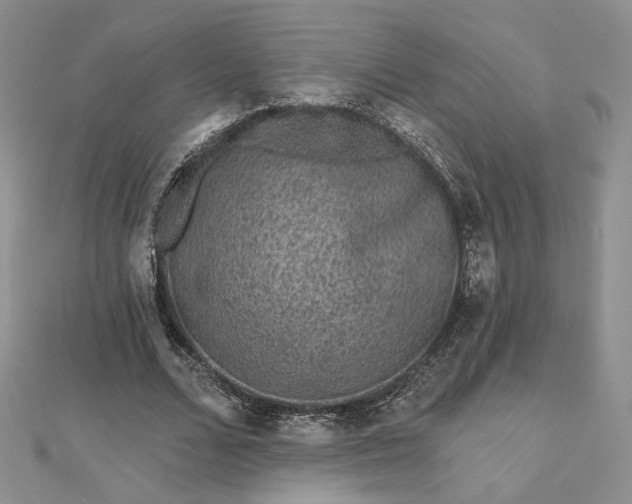 X0000112800680200909041433