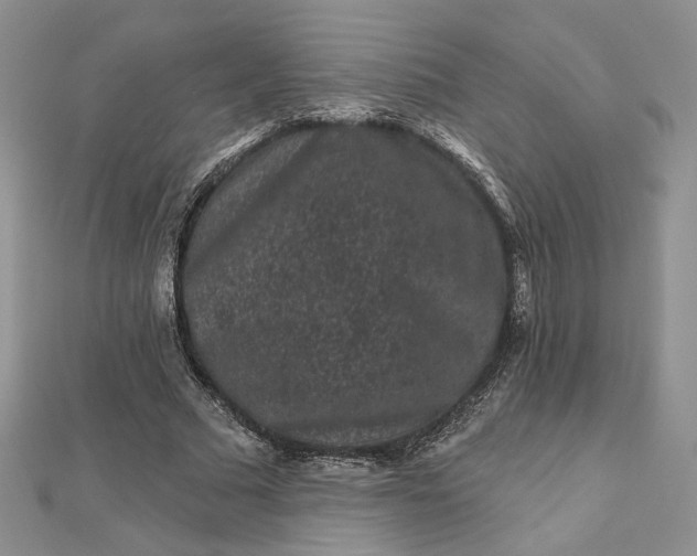 X0000112800681200909041433
