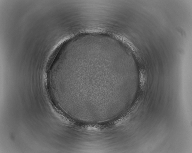X0000112800684200909041433