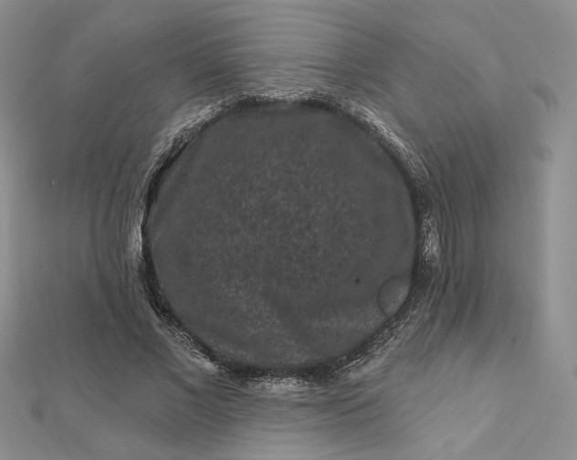X0000112800685200909041433
