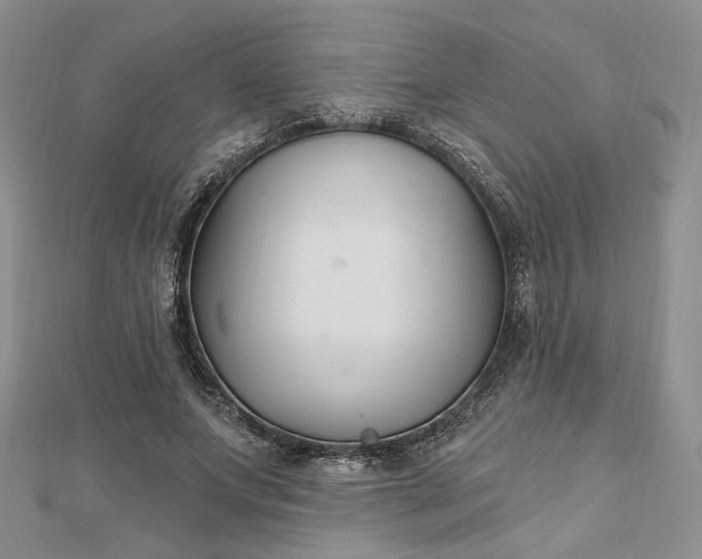 X0000112800687200909041433