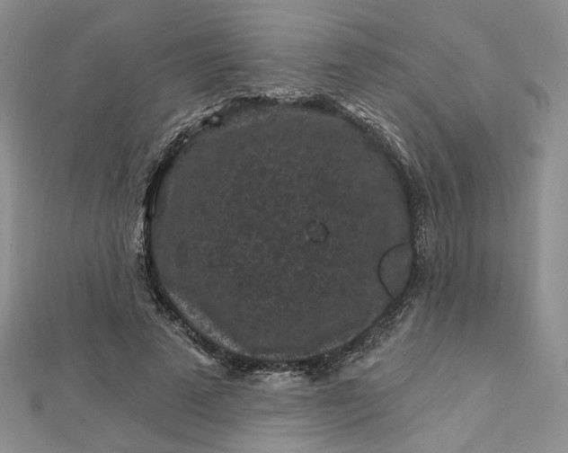 X0000112800689200909041433
