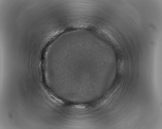X0000112800692200909041433