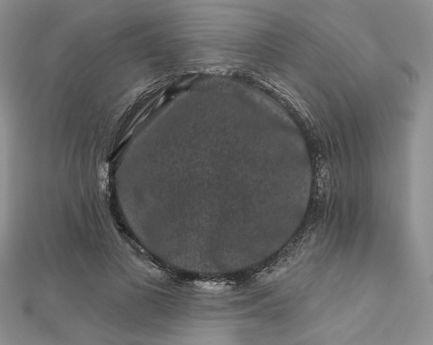 X0000112800693200909041433