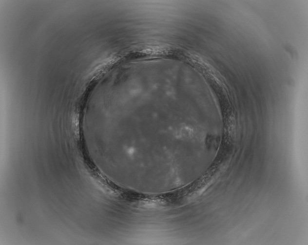 X0000112800696200909041433