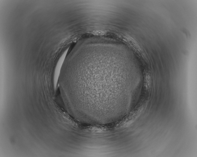 X0000112800697200909041433