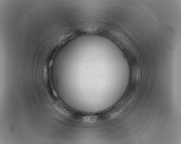 X0000112800700200909041433