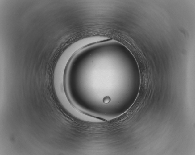 X0000112800701200909041433