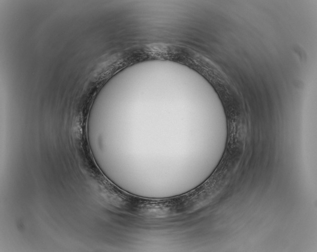 X0000112800702200909041433