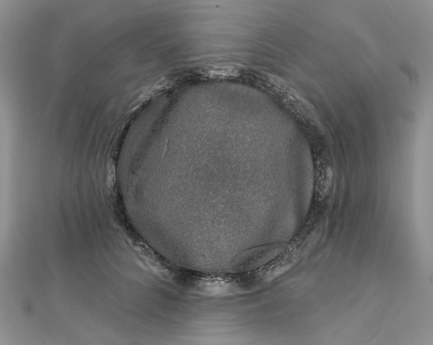 X0000112800704200909041433