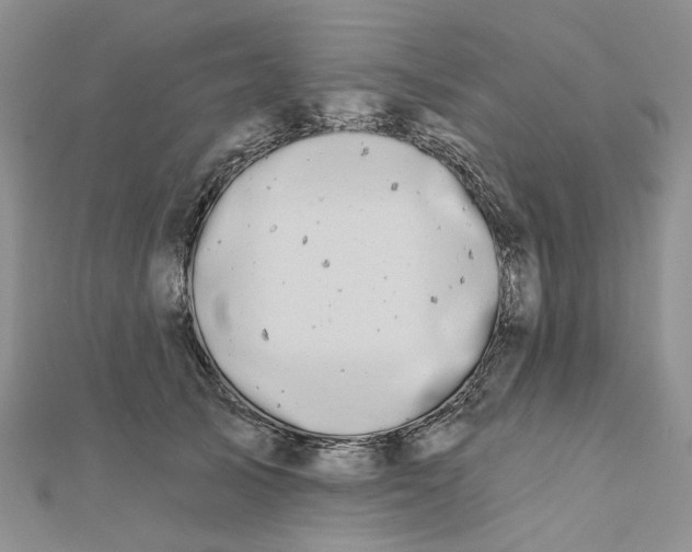 X0000112800705200909041433
