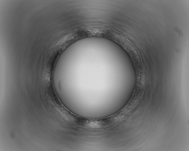 X0000112800710200909041433