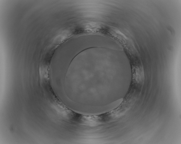 X0000112800712200909041433