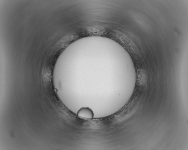 X0000112800713200909041433