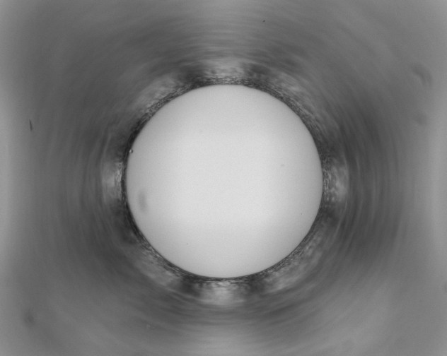 X0000112800717200909041432