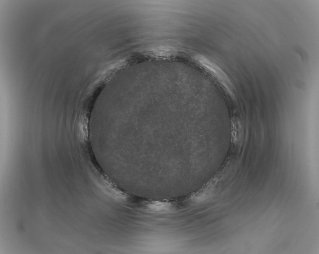 X0000112800718200909041432