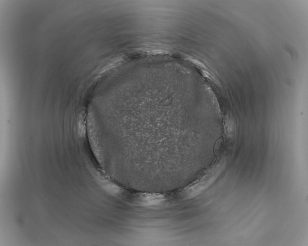 X0000112800719200909041432