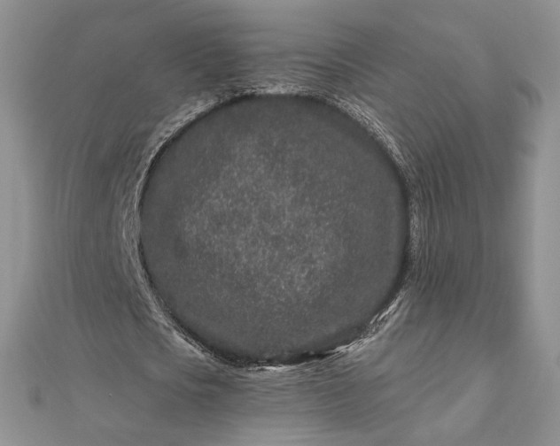 X0000112800721200909041432