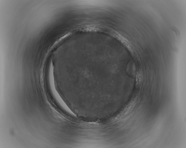 X0000112800722200909041432