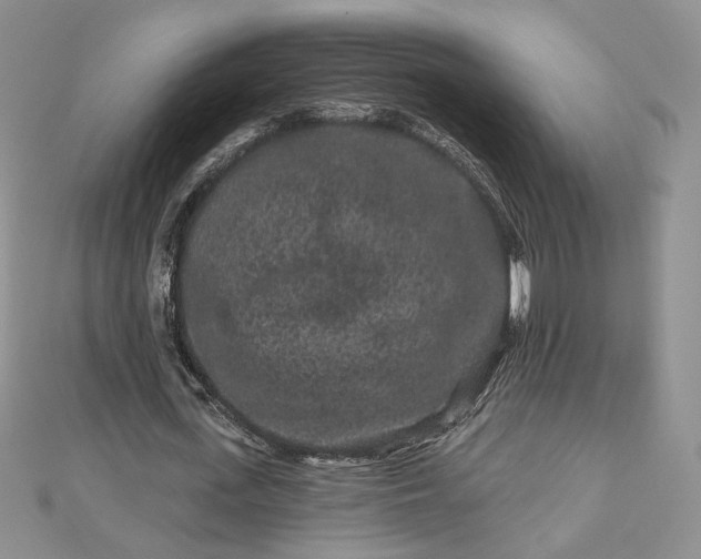 X0000112800723200909041432