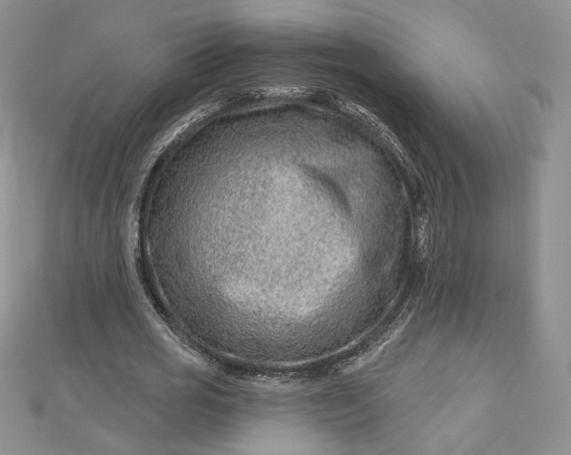 X0000112800725200909041432