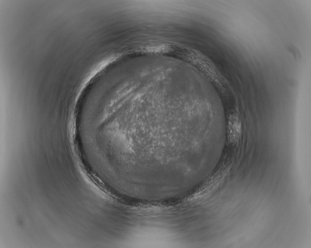 X0000112800726200909041432