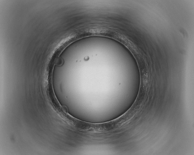 X0000112800727200909041432
