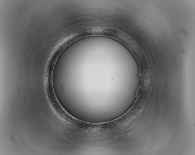 X0000112800728200909041432
