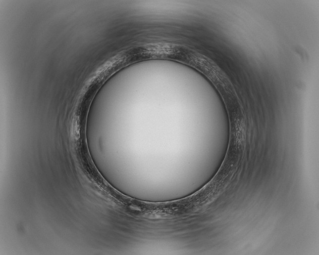 X0000112800731200909041432