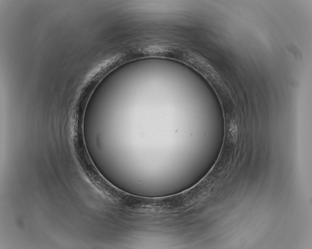 X0000112800732200909041432
