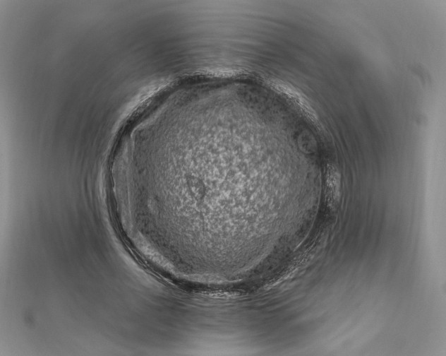 X0000112800734200909041432