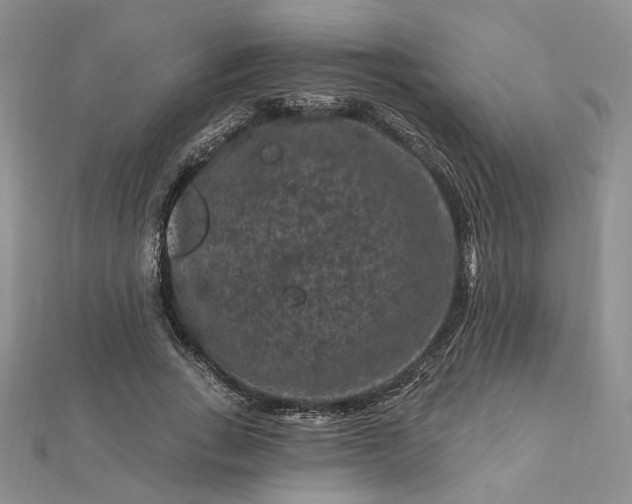 X0000112800735200909041432