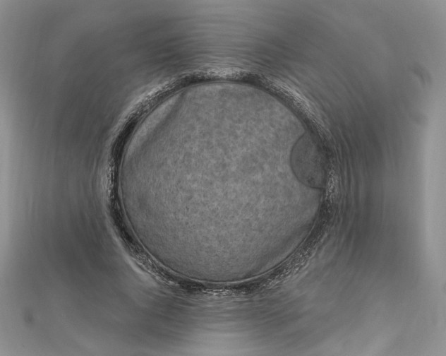 X0000112800736200909041432