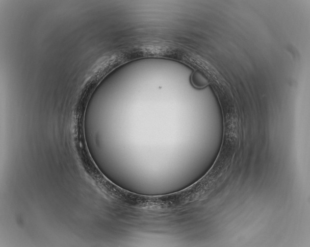 X0000112800738200909041432