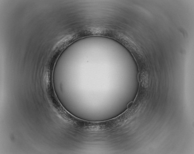 X0000112800740200909041432