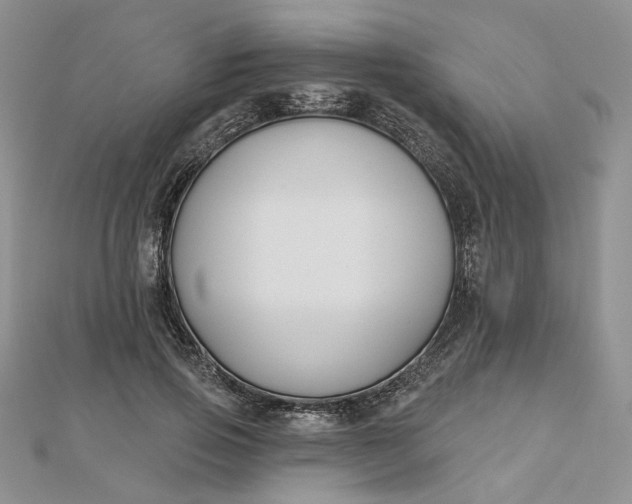 X0000112800741200909041432