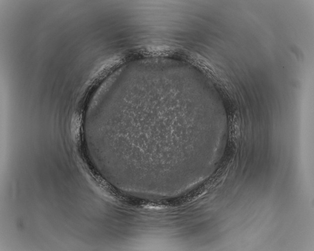 X0000112800742200909041432