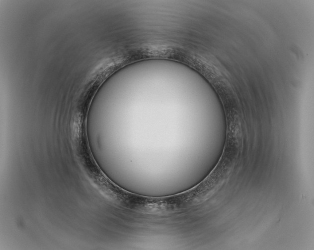 X0000112800744200909041432