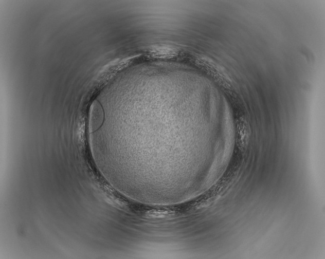 X0000112800745200909041432