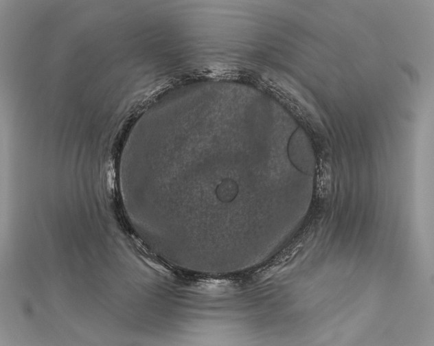X0000112800748200909041432