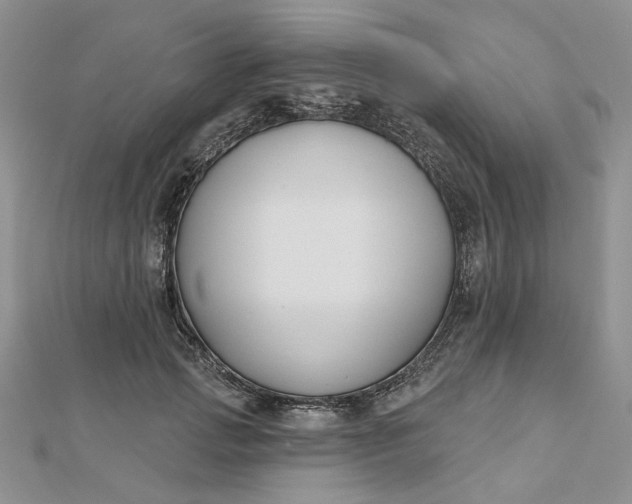 X0000112800749200909041432