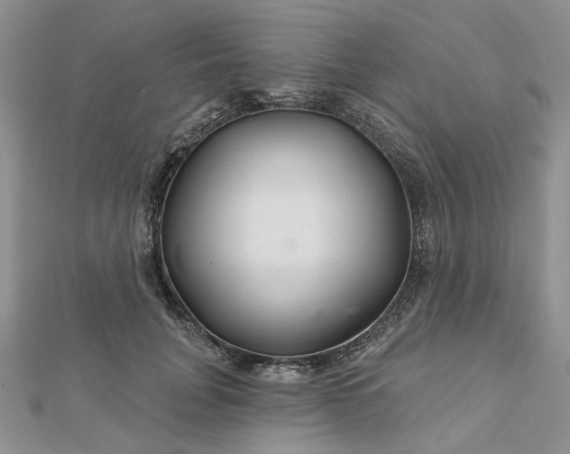 X0000112800751200909041432