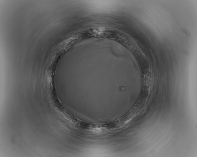 X0000112800754200909041432