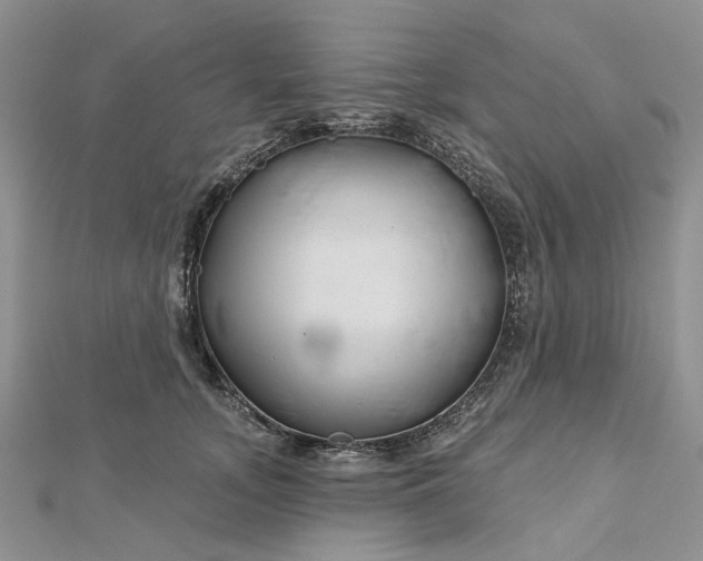 X0000112800755200909041432