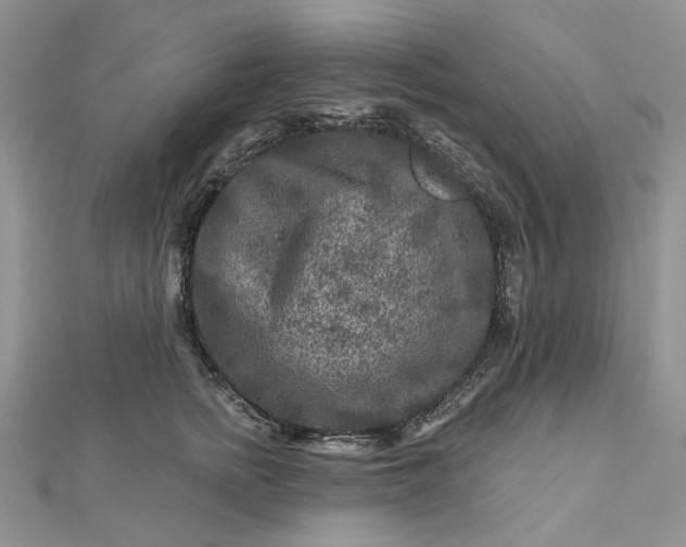 X0000112800758200909041432